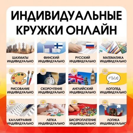 Индивидуальные занятия (кружки)